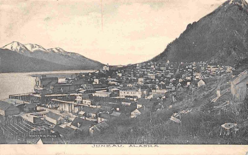 Juneau Alaska Panorama 1910 postcard