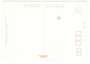 Wild Monkey, Mount Takasaki, Japan