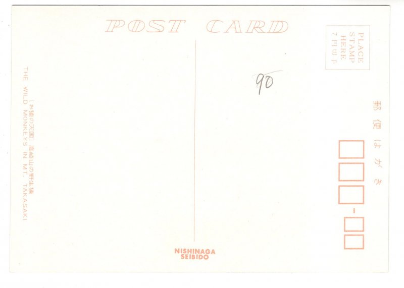 Wild Monkey, Mount Takasaki, Japan