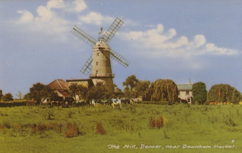 Downham Market Mill Norfolk Postcard