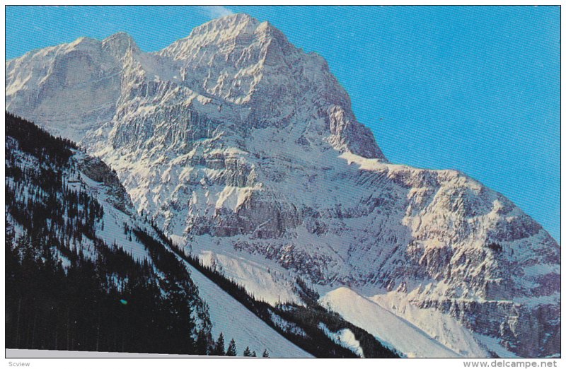 Mt. Stephen, Kicking Horse River Valley, Yoho National Park, Field, British C...