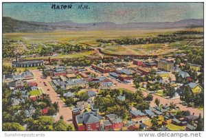 New Mexico Raton Birds Eye View From Goat Hill Curteich