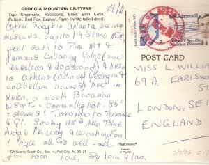 Animals. Georgia Mountain Critterss Nice modern American postcard
