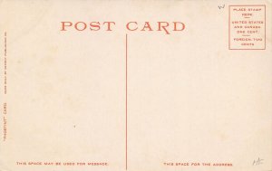 Fountain Square Cincinnati Ohio 1910s Phostint postcard