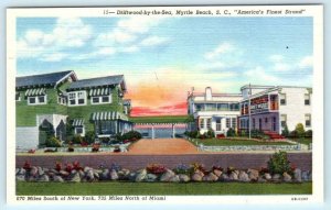 MYRTLE BEACH, South Carolina SC ~ Roadside DRIFTWOOD by the SEA c1950s Postcard