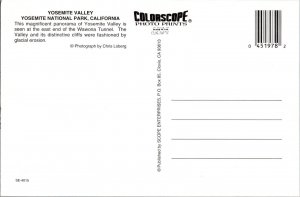 Yosemite National Park Snow Winter Continental Postcard CF5