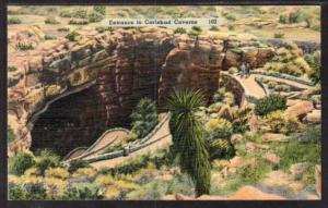 Entrance to Carlsbad Caverns NM Postcard 5944