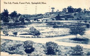 Springfield Mass Lily Pond Forest Park BW Divided Back Antique Postcvard WOB Vtg 
