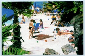3 Postcards GALVESTON, Texas TX ~ Water Park PALM BEACH at MOODY GARDENS 4x6