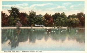 Vintage Postcard The Lake Geological Gardens Cincinnati Ohio OH The Feicke-Desch