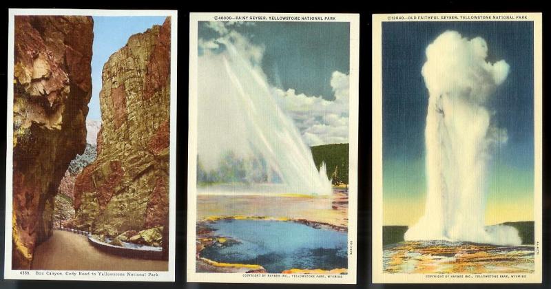 USA (31) Diff Western Scenery Yellowstone unused c1920-1940