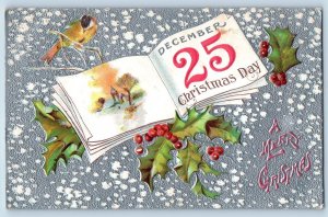 Christmas Postcard Holly Berries Snow Winter Embossed c1910's Antique Posted