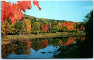 Reflected Beauty in the Clarion River at Cook Forest State Park - Pennsylvania