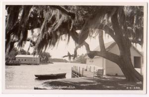 RPPC, Homosassa River