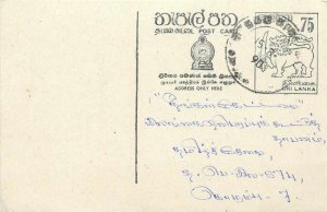 Entier Postal Stationery Postal Sri Lanka Ceylon Lion