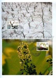 440864 Liechtenstein 1994 year set of First Day maximum cards plant grapes