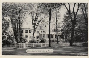 OLD LYME, Connecticut, 1930-50s; Boxwood 
