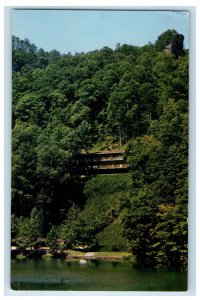 1965 Natural Bridge State Park Near Slade Kentucky KY Posted Postcard