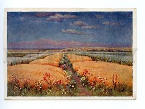 132635 RUSSIA Summer Day by WRZESZCZ vintage color PC