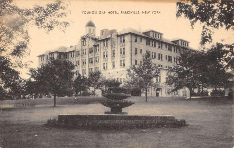 Parksville New York Youngs Gap Hotel Fountain Antique Postcard K71210