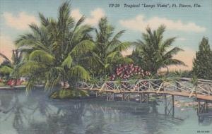 Florida Fort Lauderdale Tropical Largo Vista 1946 Curteich