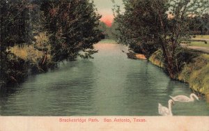 San Antonio Texas TX~Brackenridge Park-Swans River Sunset 1908 Postcard