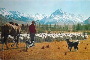 New Zealand Glentanner Station mustering sheep Mt. Cook butterfly stamp 