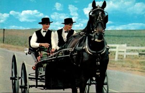 Pennsylvania Dutch Country Two Amish Boys Riding In A Courting Buggy