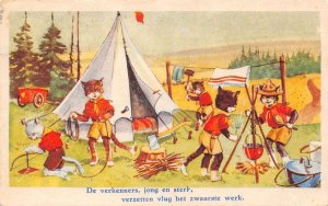 Dressed Cats Camping Boy Scouts Vintage Postcard AA83265