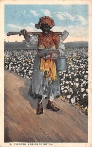 Fields of Cotton 1920 