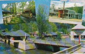 Twin Island Motel and Ogles Cafe Gatlinburg Tennessee