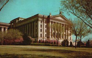 Postcard Redbud Oklahoma State Flower In Bloom Capitol Building Oklahoma City Ok