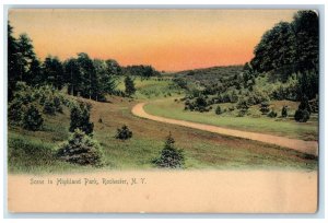 c1905's Scene In Highland Park Rochester New York NY Unposted Vintage Postcard