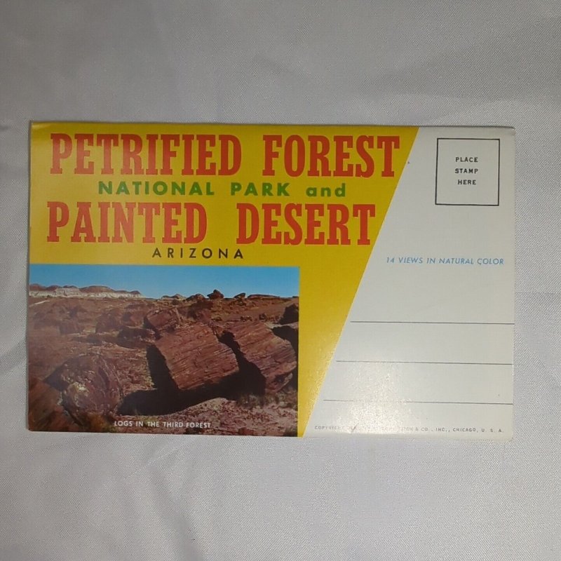 Petrified Forest National Park Arizona Vintage Souvenir Postcard Folder