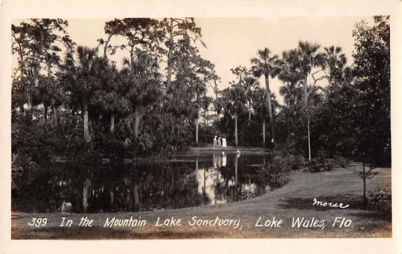 Lake Wales Florida Mountain Lake Sanctuary Real Photo Vintage Postcard AA575