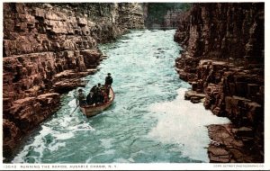 New York Ausable Chasm Running The Rapids Detroit Publishing