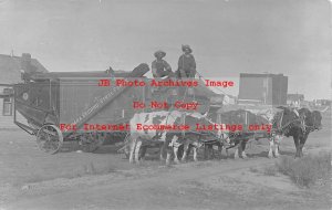 Canada, Saskatchewan, Assiniboia, RPPC, Farmer & Ox Drawn Buffalo Pitts Thresher