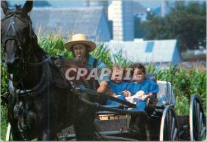 Modern Postcard Amish Country Amish year father and his two daughters riding ...