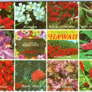 c1970s HI, Hawaii Flowers Chrome Photo Collage Composite 4x6 Large Postcard M14