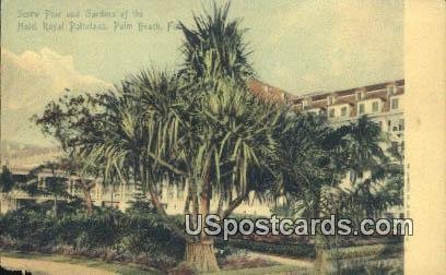 Hotel Royal Poinciana - Palm Beach, Florida FL  