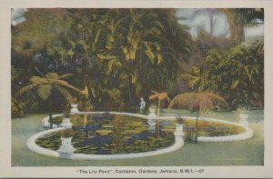 Postcard The Lily Pond Castleton Gardens  Jamaica BWI