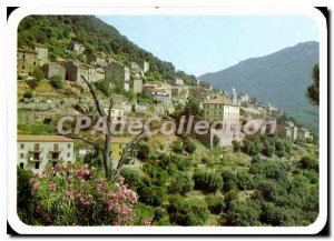 Postcard Modern Olmeto Vue Generale
