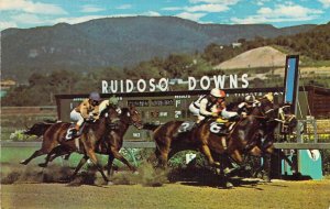 Horse Racing In The Tall Pines, Ruidoso, NM Highway 70 Postcard 