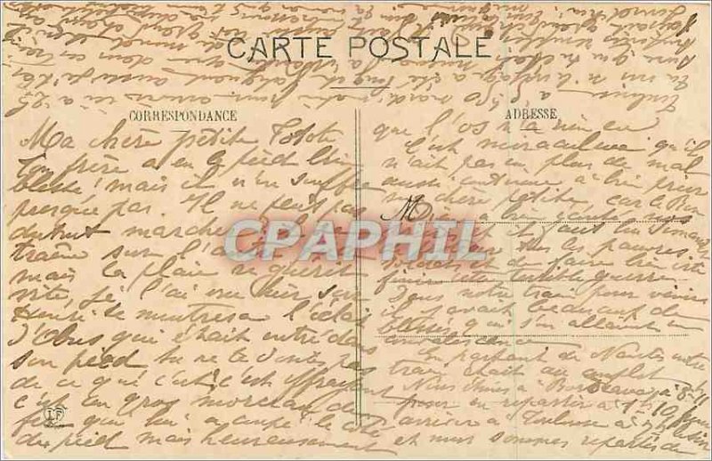 Old Postcard Luchon Pyrenees Vue Generale