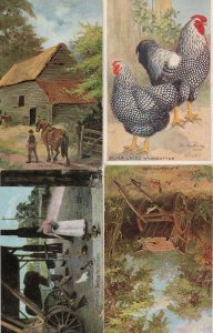 A Rest After Work 4x Antique Farming Bird Postcard s