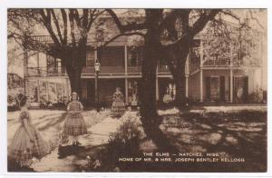 The Elms Kellogg Home Natchez Mississippi postcard