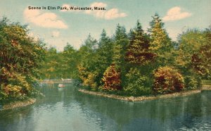 Vintage Postcard Scene in Elm Park Lake Forest Trees Worcester Massachusetts MA