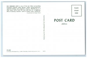 c1950's Big Virginia Lake Cabin Accommodation Lakes Resort Mono Lake VA Postcard