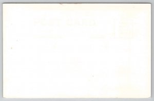 Deception Pass Washington WA RPPC Postcard A31