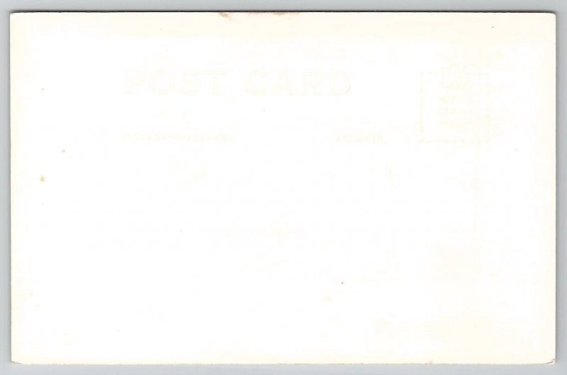 Deception Pass Washington WA RPPC Postcard A31